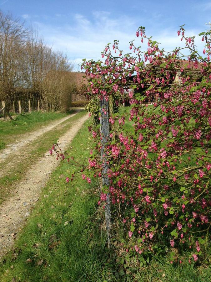 B&B Bekersveld Vlezenbeek Eksteriør bilde